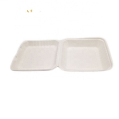 Biodegradable Bagasse Disposable Sugarcane Food Container Ecofriendly