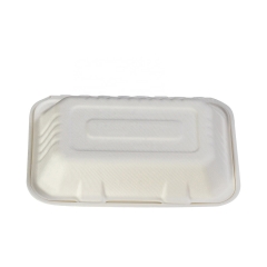 Biodegradable Leak Proof Container Bowl Sugarcane Bagasse Two Partition Food Containers 250 Pack 9 Inch