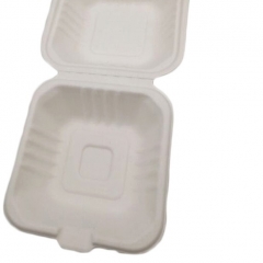 Envase de comida de bagazo desechable 100% biodegradable con tapa