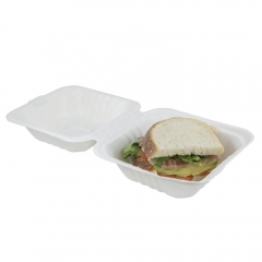 6 Inch Disposable Bagasse Sugarcane Biodegradable Food Container Box