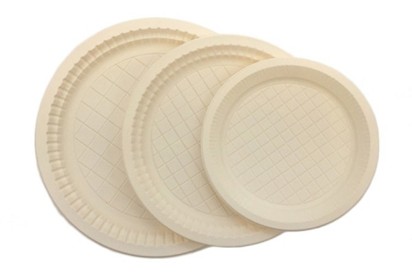 eco disposable plates