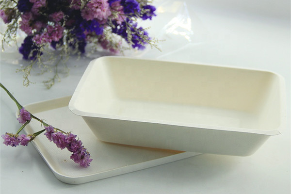 Biodegradable food service products-cornstarch tableware