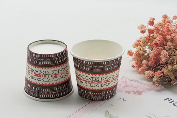 Why are so many people willing to invest in PLA coated paper cups