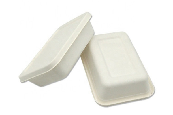 biodegradable food box