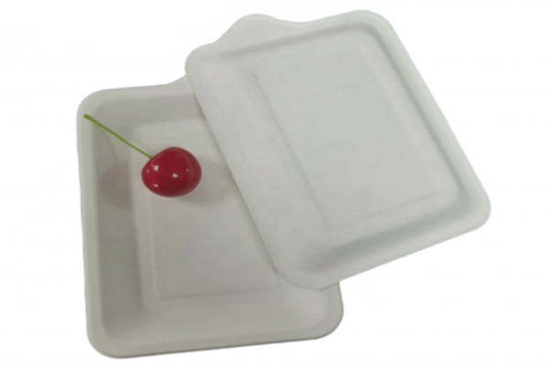 disposable meal plate