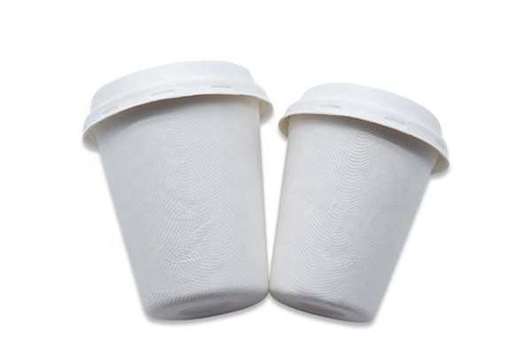 recycling of disposable cups