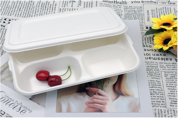 Biodegradable and compostable bagasse tray