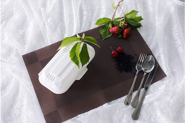 Green tableware: bagasse containers