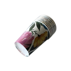 Biodegradable Disposable Rigid Containers hot paper cup for Party Wedding