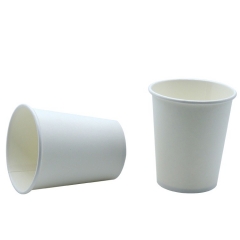 8oz Disposable White Color Hot Drink Paper Cup