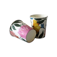 Set di tazze a prova di perdite PLA Coffee Paper Cup