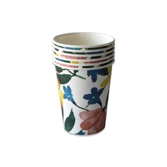 Biodegradable Disposable Rigid Containers hot paper cup for Party Wedding