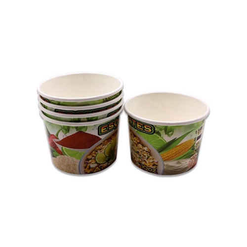 6.5OZ Custom Design Compostable Ice Cream Container Packaging with Spoon