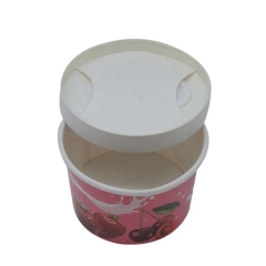 China factory High Quality Disposable Ice Cream Cup
