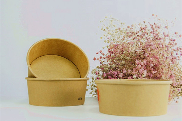 Disposable paper containers to create a green image