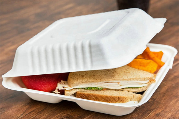 disposable biodegradable container