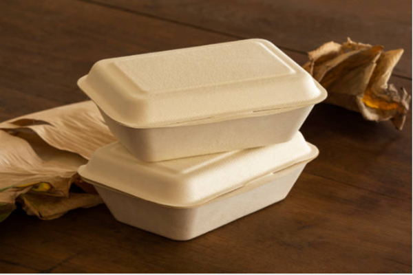About bagasse - what you need to know