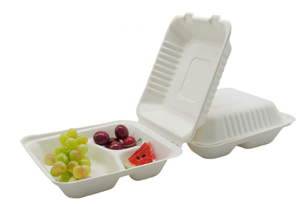 disposable biodegradable food box