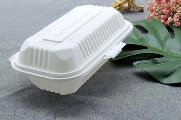 disposable take away box