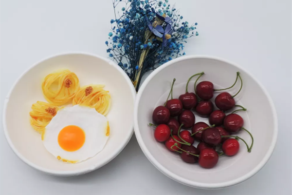 Bagasse lunch box could return to Earth as soil food