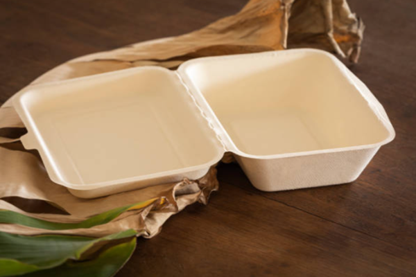 What are the benefits of sugarcane bagasse box