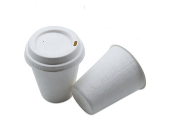 biodegradable coffee cups suppliers
