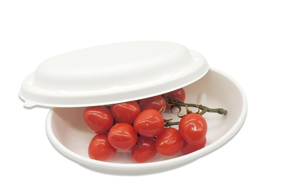 compostable bagasse bowls