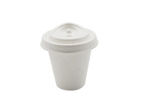 disposable bagasse cup