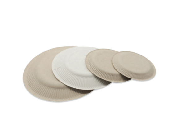 disposable plates