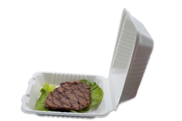 bagasse lunch boxes 