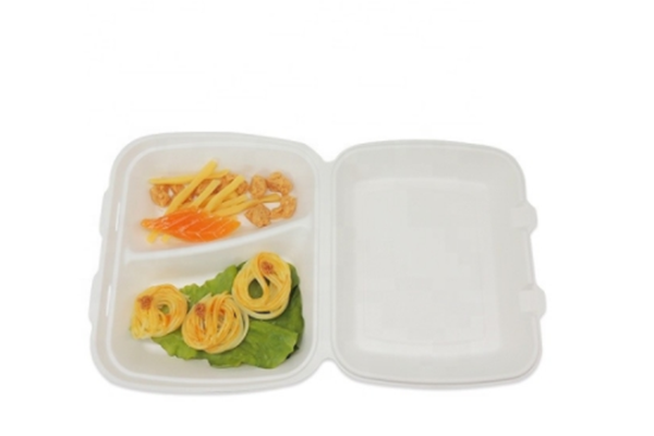 disposable bagasse food container