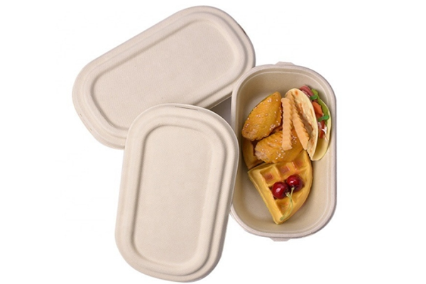  bagasse food container with lid