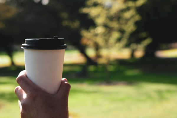 Sugarcane bagasse cups are safe containers for coffee