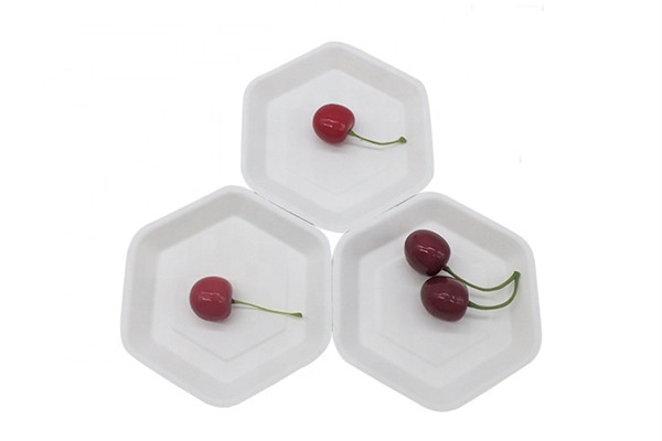 bagasse food plates