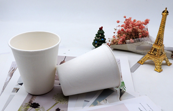 white bagasse cups