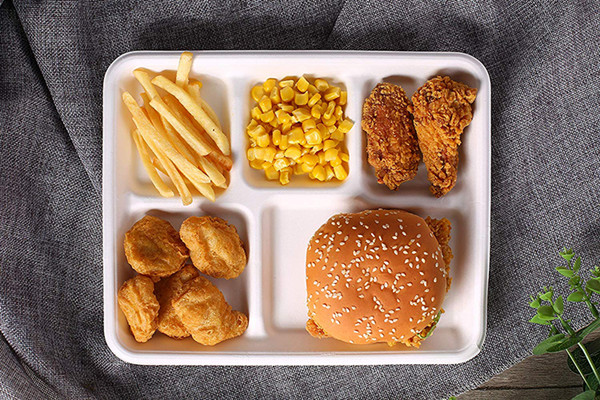 bagasse food tray