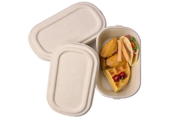 bagasse food box