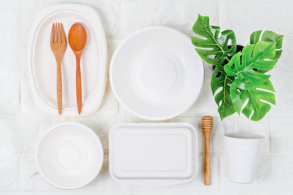 Is bagasse food box really safe to use?