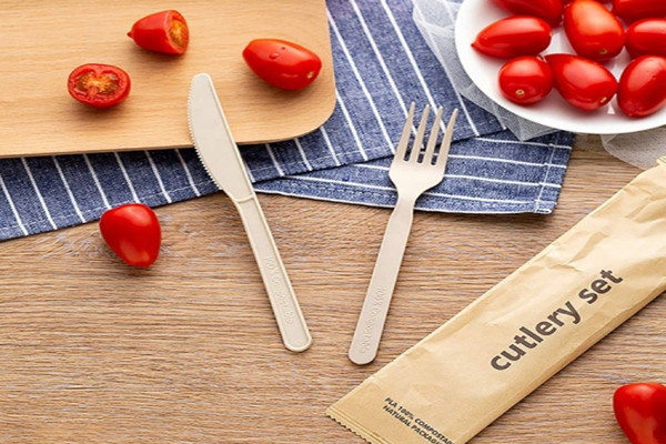 cutlery set biodegradable