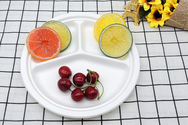 Bagasse sugarcane plates a suitable choice for any event that provides food
