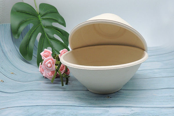 bagasse sugarcane bowls manufacturers