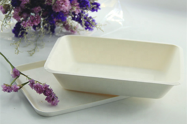 Green Bagasse: Please use bagasse bowl with lid