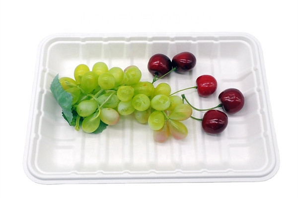 biodegradable sugarcane bagasse tray