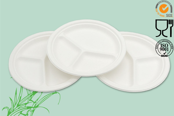 Why you should switch to a biodegradable sugarcane bagasse tray