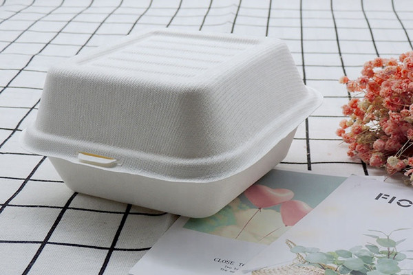 Use biodegradable sugarcane bagasse container for delivery and takeaway orders