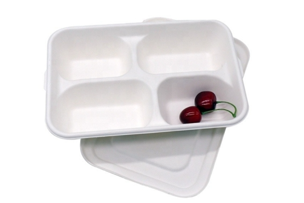 biodegradable bagasse tray
