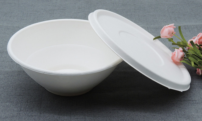 bagasse bowl with lid