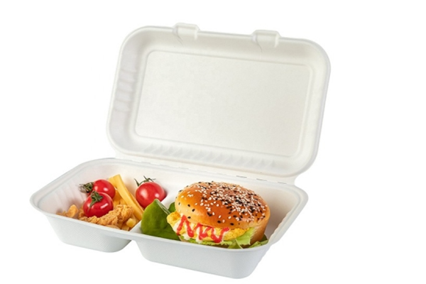 biodegradable lunch box