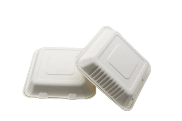 biodegradable sugarcane bagasse container