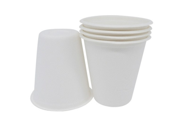 100% biodegradable cups and straws